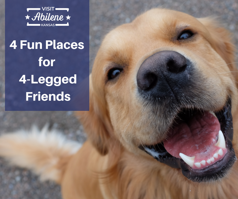 4-Fun-Places-For-4-Legged-Friends-Abilene,KS