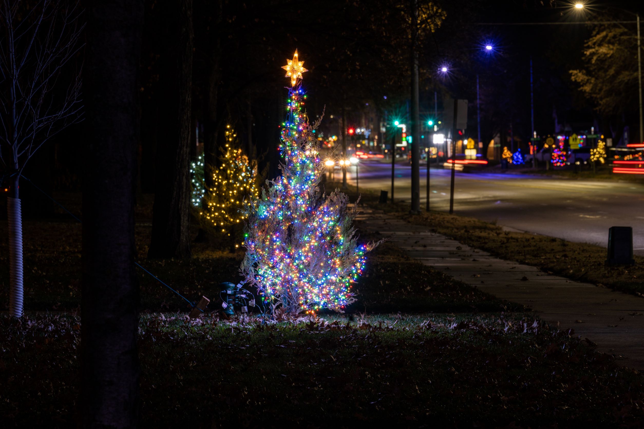 Christmas Tree Lane, An Annual Tradition