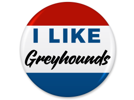 I Like Greyhounds - Abilene,KS